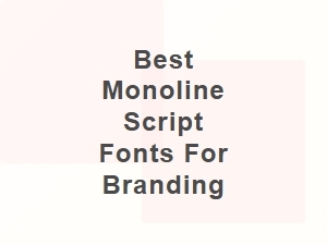 Best Monoline Script Fonts for Elegant Branding